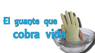 Un Guante Que Cobra Vida Experimentos Caseros