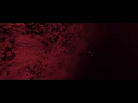 Blinky Bill - Lost Afronaut