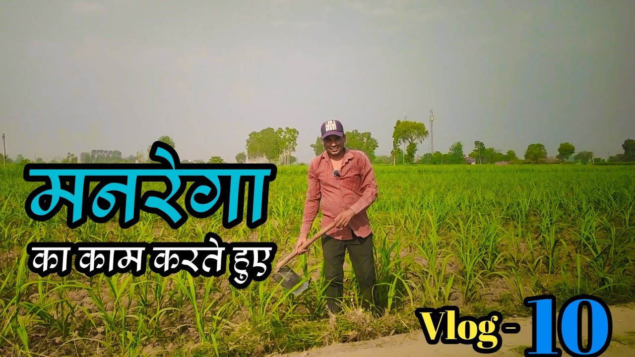 मनरेगा का काम करते हुए / Parul gill Vlog - 10 