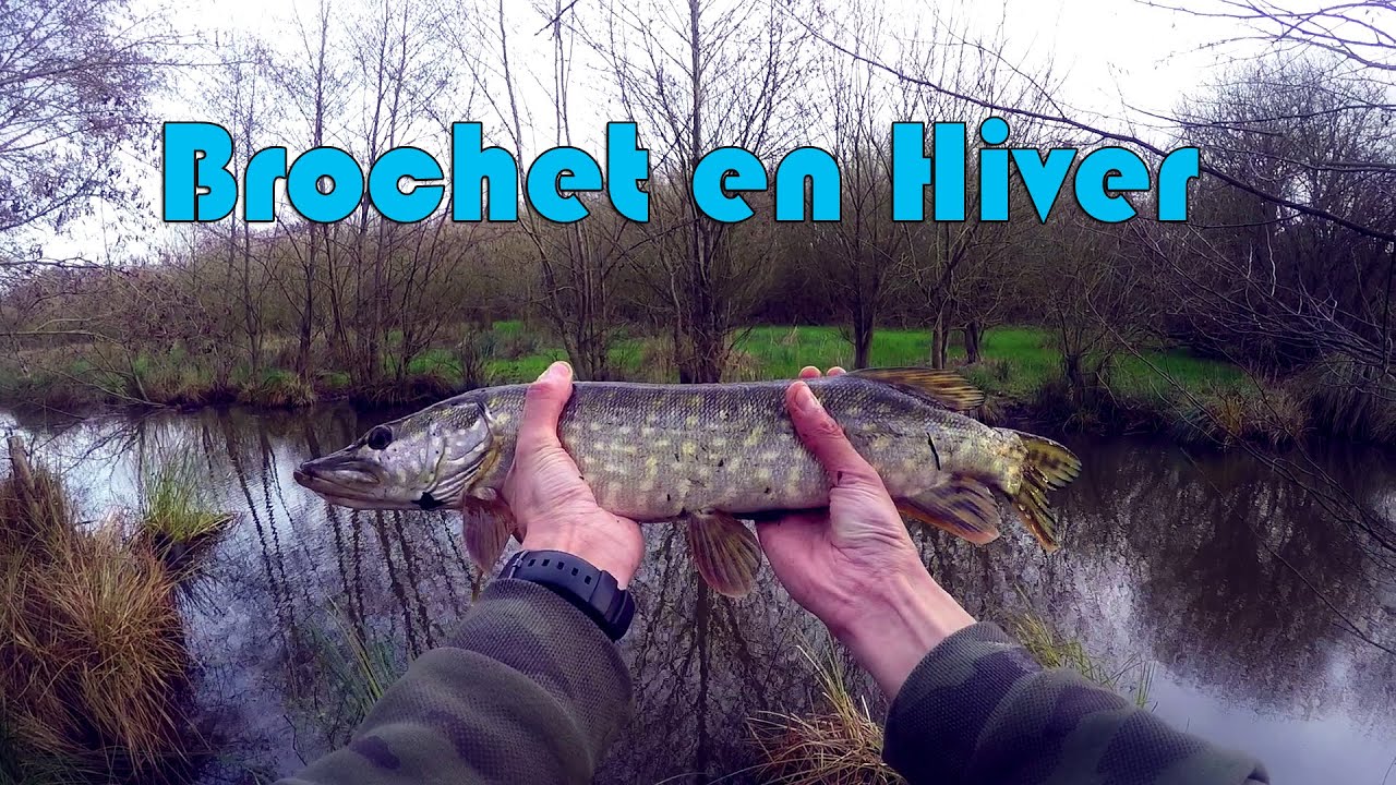 Brochet en Hiver | Peche au Leurre | HD