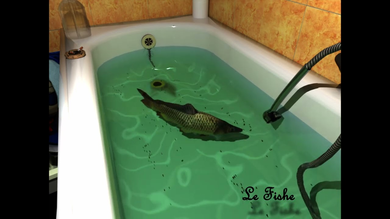 Le Fishe Playlist (Animated) - [Jazz, Fishy Synths, Old European Movie Soundtracks]