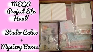 MEGA Studio Calico Project Life Haul!! Mystery Boxes!