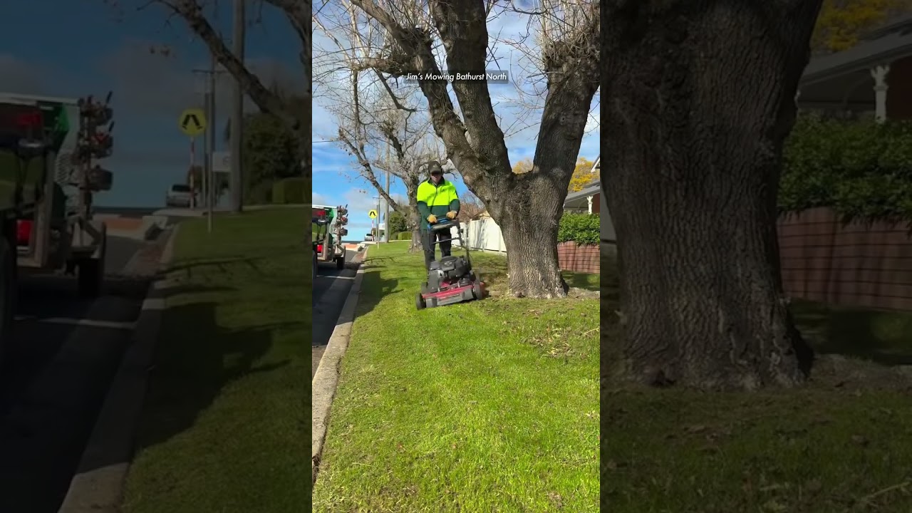Time for a clean up? #jimsmowing #lawncare #gardening