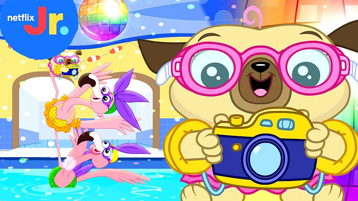 Chip Photographs the Flingos! 📸 | Chip and Potato | Netflix Jr