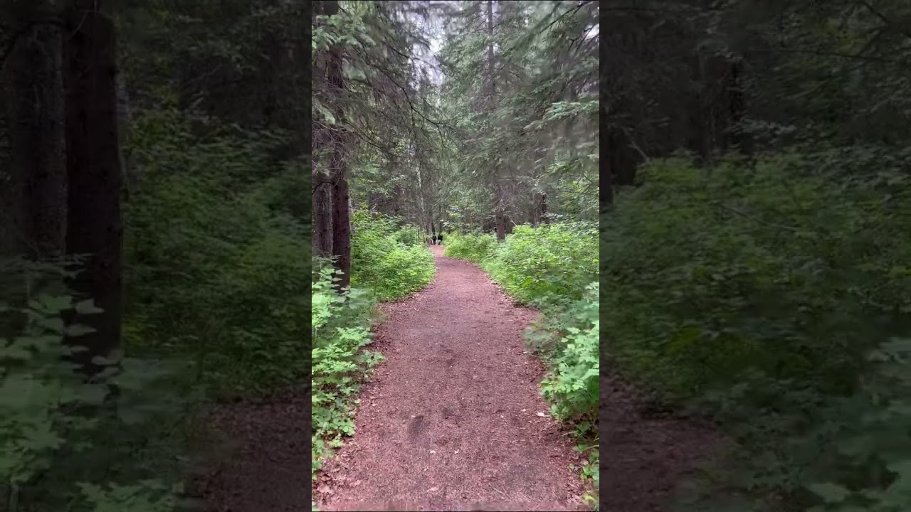 Downside - IDKhow slowed and reverbed || Gloom Divison