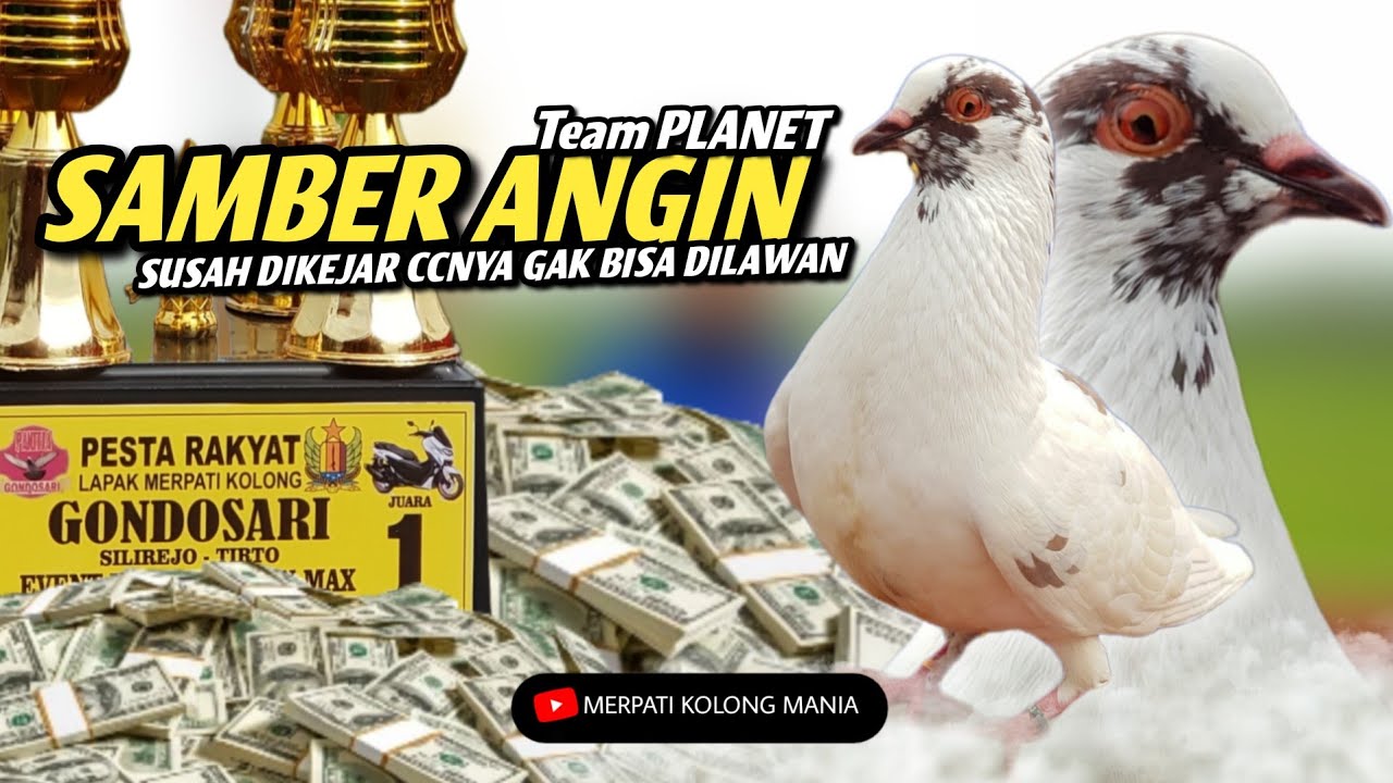 SAMBER ANGIN TEAM PLANET SABET JUARA 1 ‼ FULL FINAL LOMBA LAPAK GONDOSARI SILIREJO PEKALONGAN