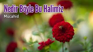 Nedir Böyle Bu Halimiz -Mücahid