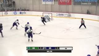 Nwhl Highlights Connecticut At Minnesota 1.20.19