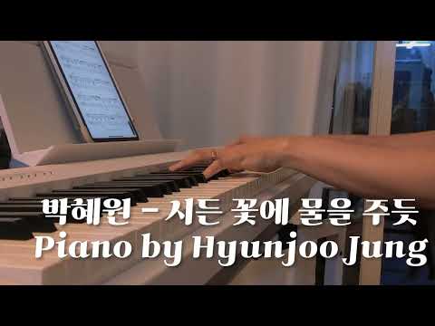 시든 꽃에 물을 주듯 (Piano solo) - 박혜원