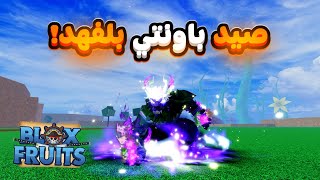 Blox Fruit / Bounty hunting with the new Tiger Fruit and I made the best combos for it. Is it the... screenshot 3