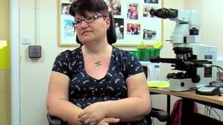 Dr Cate Wight on reasonable adjustments and returning to work
