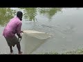 Best Net Fishing ll Fish Catching Using Cast Net in The Village Pond