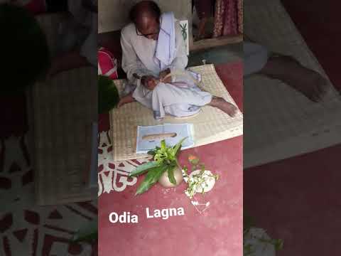 odia lagna dhara