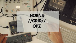 Norns MLR Script + Grid + OP-Z + Microcosm