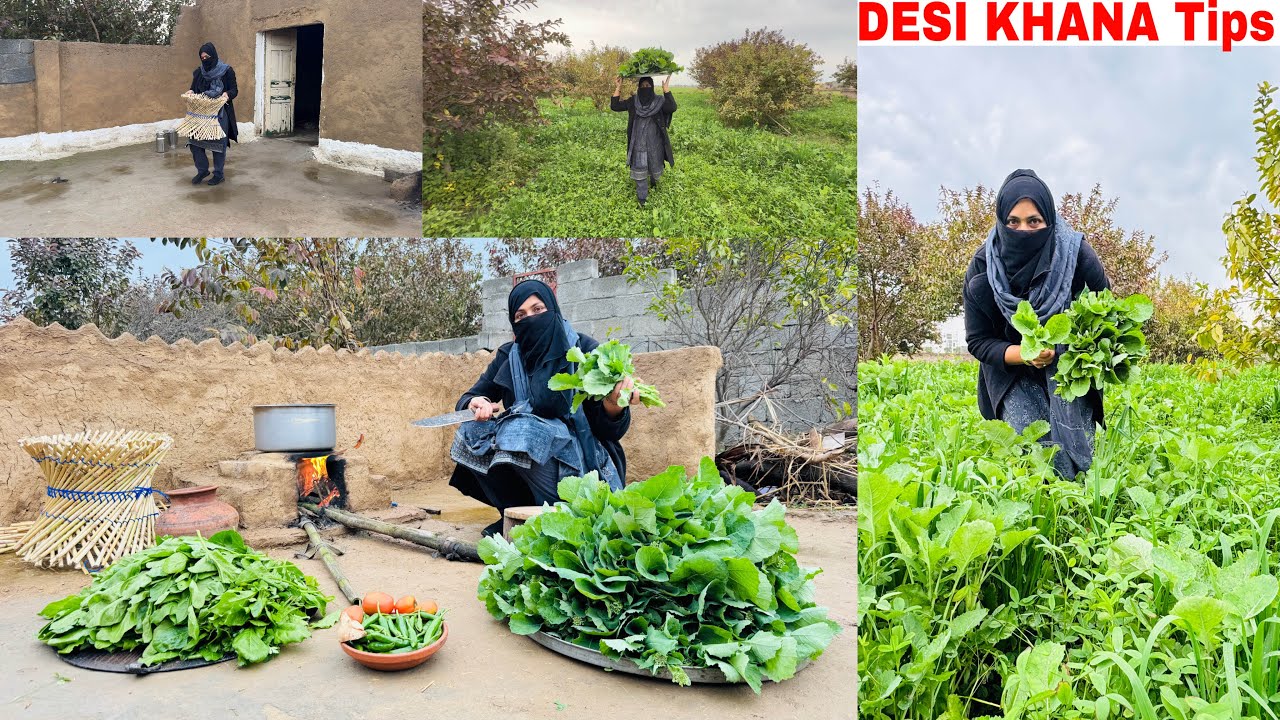 Saag chatni recipe  special desi saag chatni recipe organic recipe 