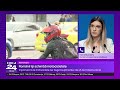 Buzoianu anunță noi fonduri „pentru toate categoriile” din programul Rabla