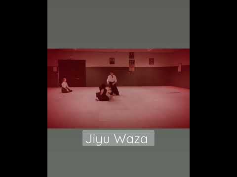 Jiyu Waza. Kremlin-Bicêtre le 23 janvier 2023