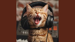 Quiet Cat Harmonies