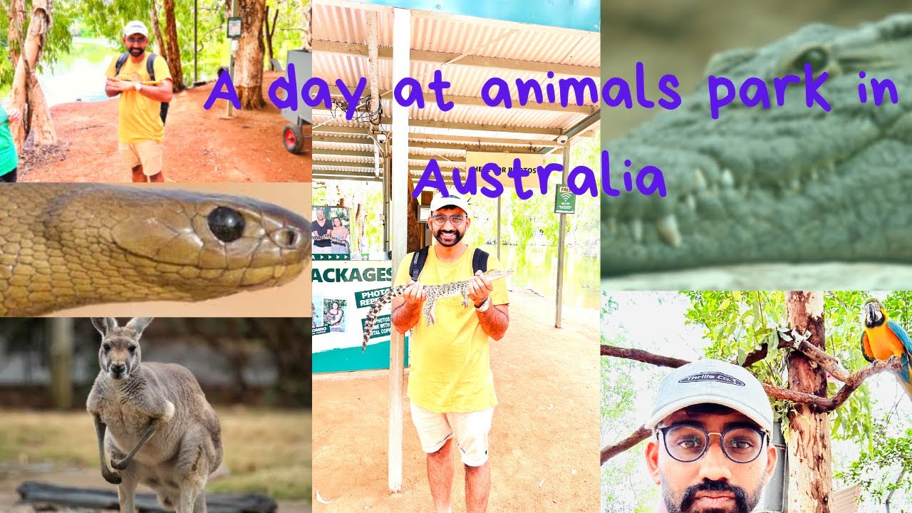 Animals park in Australia |Linga Reddy| Australia |Telugu #sanctuary # ...