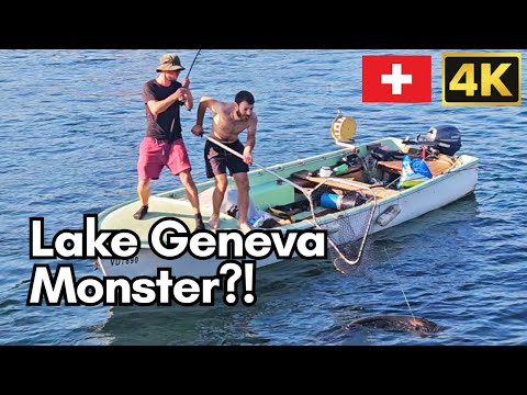 Unexpected Catch In Lake Geneva Lac Léman But No One Knows What It Is 18 June 2025