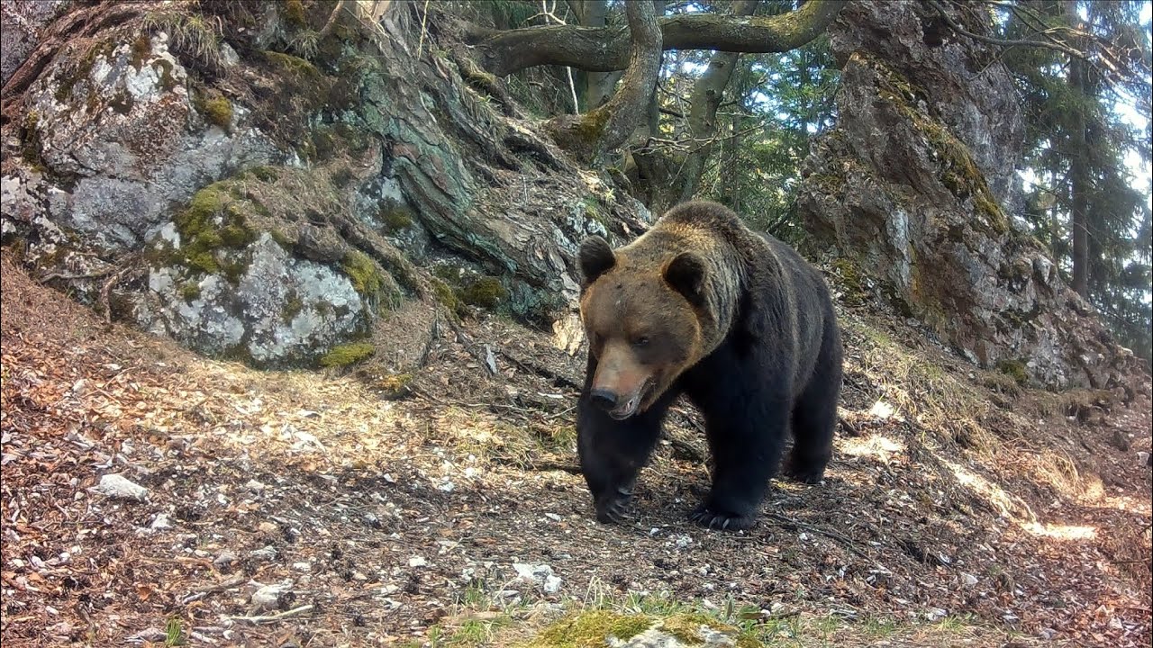 Jar medzi skalami 2023 (Fotopasca Veľká Fatra)