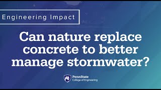 Engineering Impact: Can nature replace concrete to better manage stormwater?