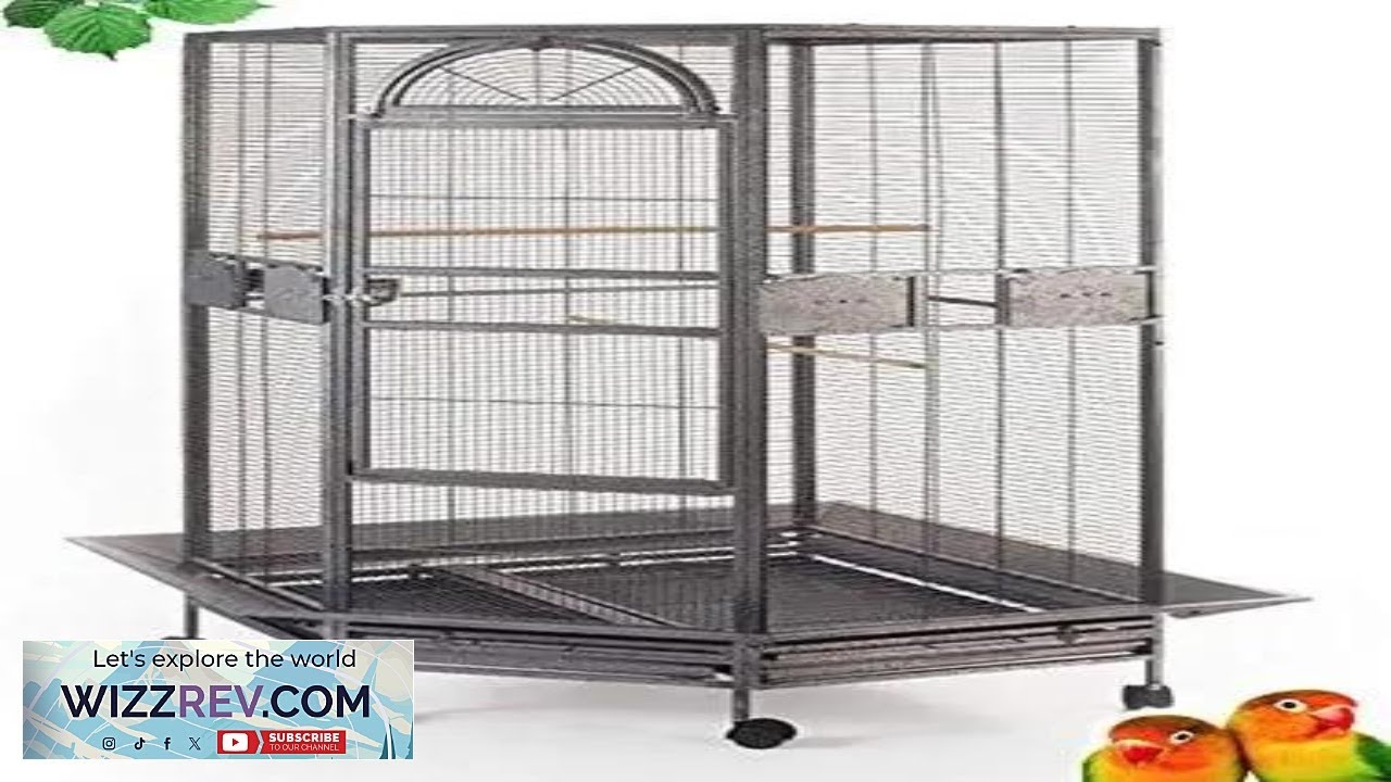 64" Extra Large Corner Flight Bird Parrot Cage for Cockatiel Parakeet Budgies Review