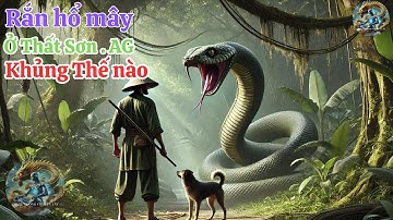 Cặp Rắn Hổ Mây Khủng Núi Cấm Đối Mặt Với Đạo Sĩ Ba Lưới Thế Nào