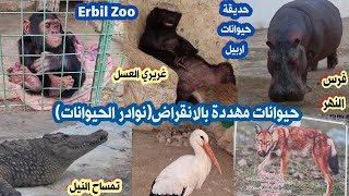 حديقة الحيوان - حديقة اربيل للحيوانات Iraq Park zoo