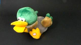 Animated Singing Duck Character