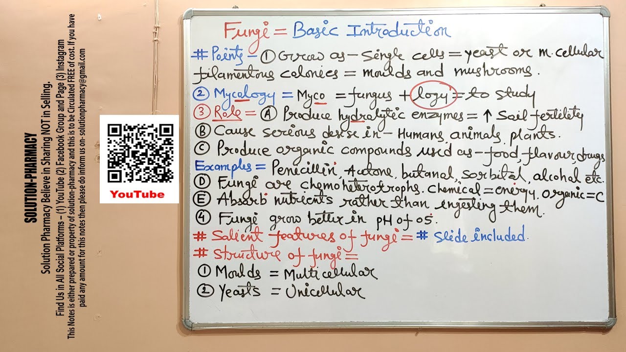 Microbiology 78 = Fungi or Fungus (01) | Introduction to The Fungus or Fungi | Mycology