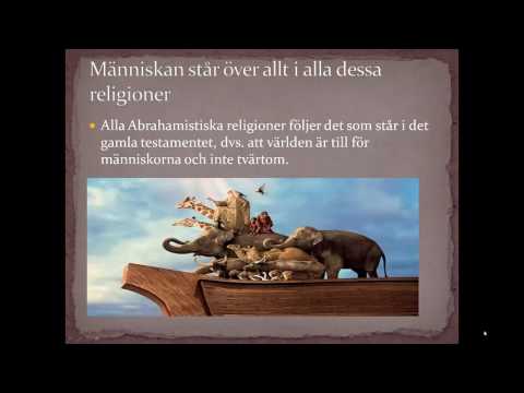 Video: Skillnaden Mellan Vård Och Synd