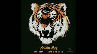 TIMMY TRUMPET ININNA TORA AUDIO OUT NOW ❄️⭕❄️❄️⭕❄️⭕❄️❄️❄️❄️⛽🏁