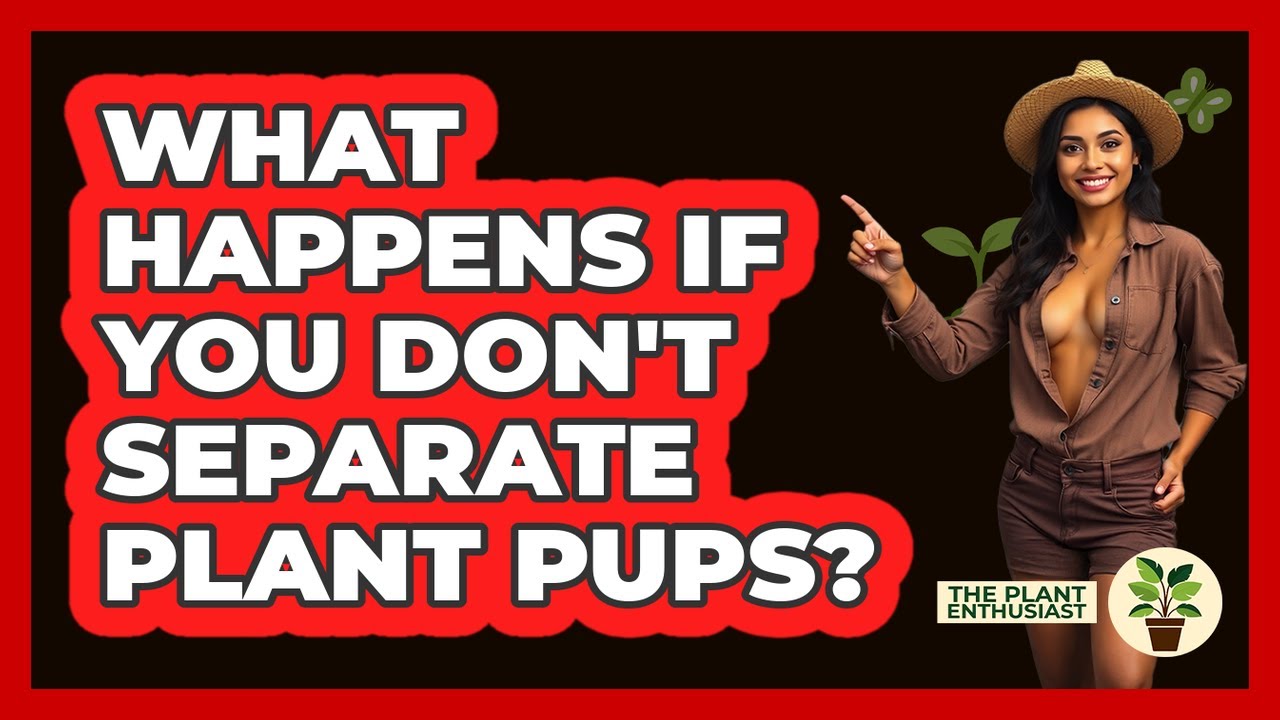 What Happens If You Don't Separate Plant Pups?