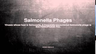 Medical vocabulary: What does Salmonella Phages mean