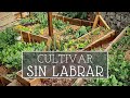 Por qué cultivamos sin labrar? | No dig - agricultura regenerativa