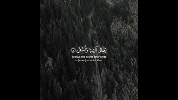 قرآن كريم بصوت القارئ شريف مصطفى - اجمل حالات واتس اب دينية ❤🍃