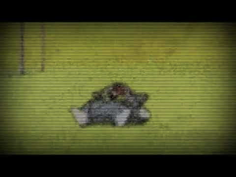 Falling Asleep But it's Deaddian.wmv Jumpscare