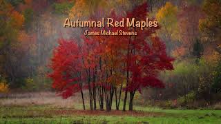 Autumnal Red Maples - Piano