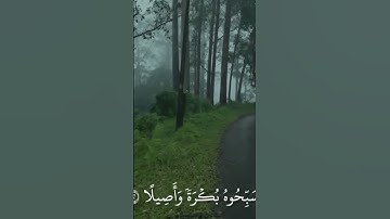 ﴿وَكانَ اللَّهُ بِكُلِّ شَيءٍ عَليمًا﴾ [الأحزاب: ٤٠] #القارئ#ياسر_الدوسري#قران#quran #قران_كريم#صلاة