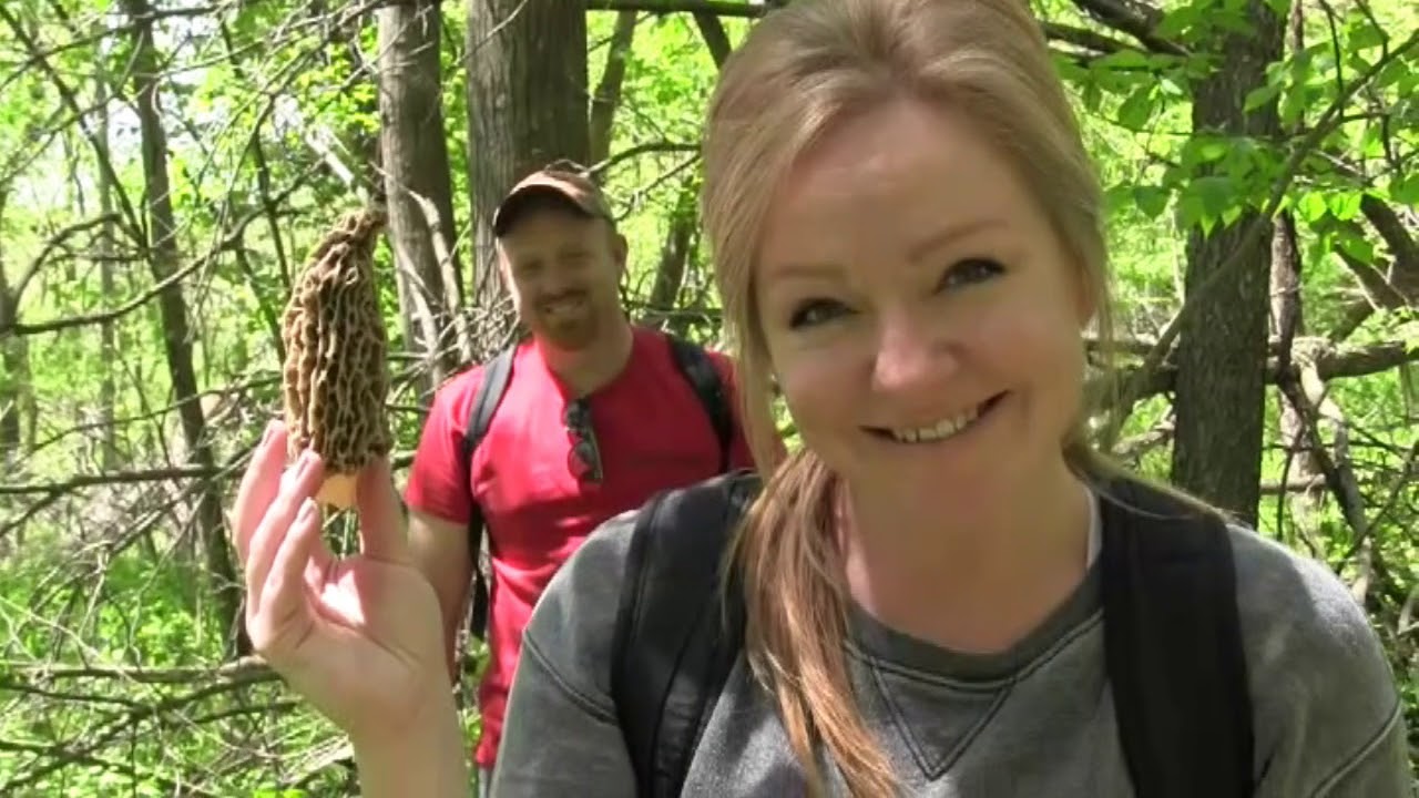 Morel Hunting Spring 2017 YouTube