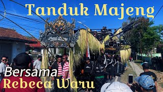 INTRO || Tanduk Majeng - Semut Ireng