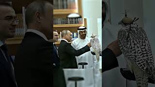 Celebrity #putin #lider #presidente #rusia Putin pats an eagle. Wealth