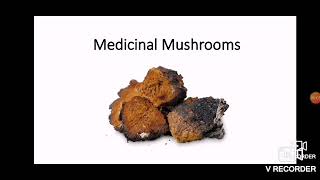The MW - Medicinal Mushrooms of Saskatchewan