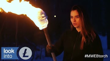 Litecoin MWEB Torch