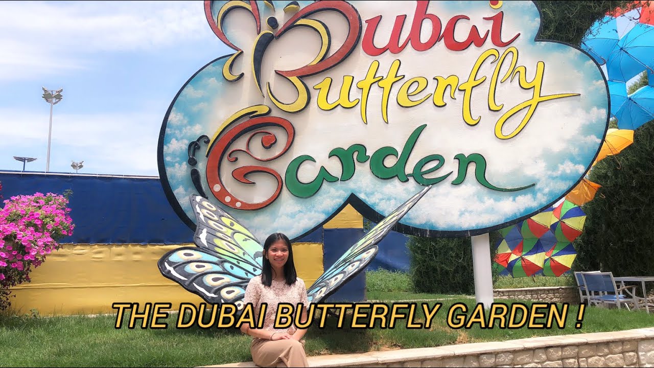 DUBAI BUTTERFLY GARDEN YouTube