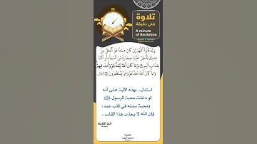 #تلاوة_في_دقيقة ( وما كان الله ليعذبهم وأنت فيهم ) تلاوة للشيخ #محمد_أيوب رحمه الله .. #ﷺ