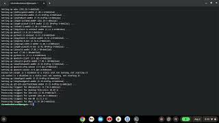 How to install PlayOnLinux on a Chromebook in 2024