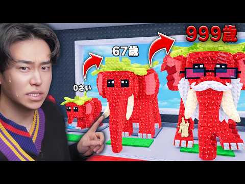 Roblox raises Brainrot to age 999! - YouTube