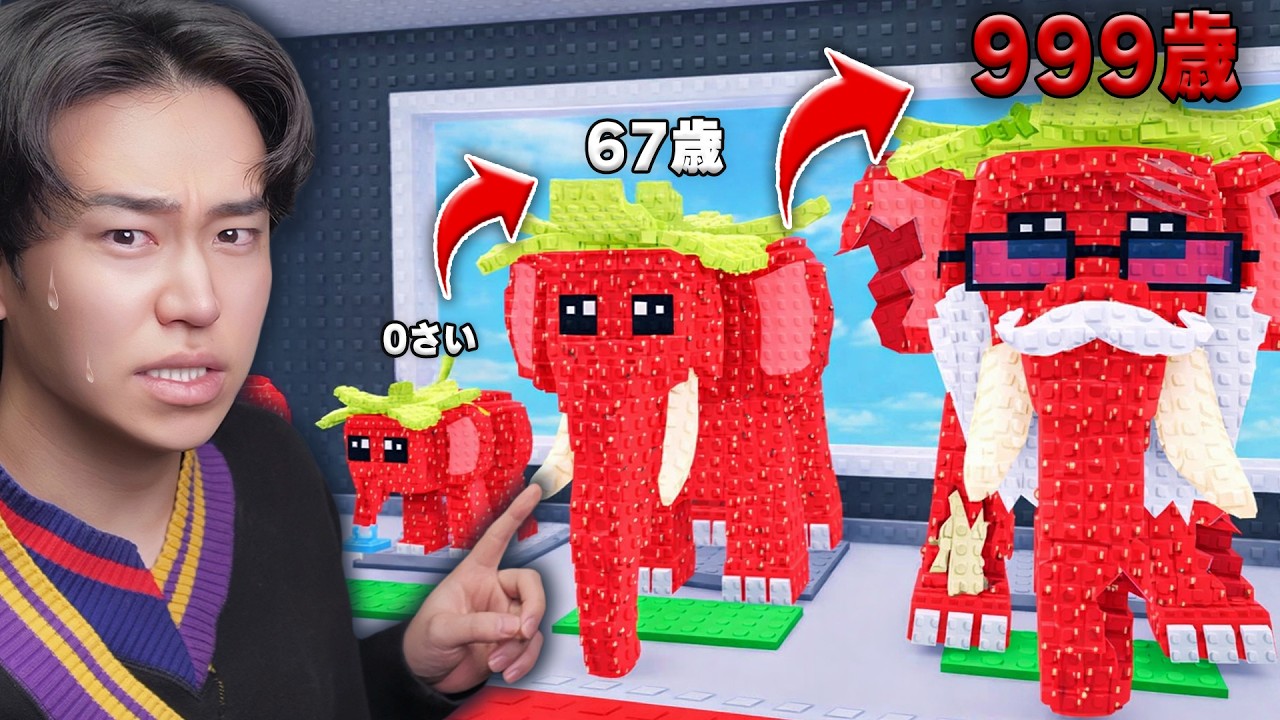 ブレインロットを９９９歳まで育てるロブロックス！